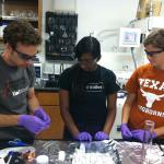 Kyle, Sindhu and Julie working at the bench in one of the battery labs in June 2014.